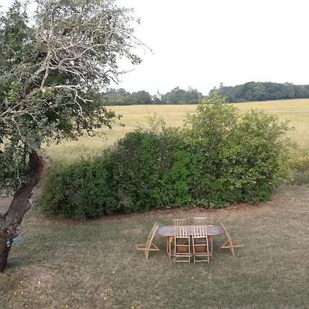 Chic, Disconnected Countryside